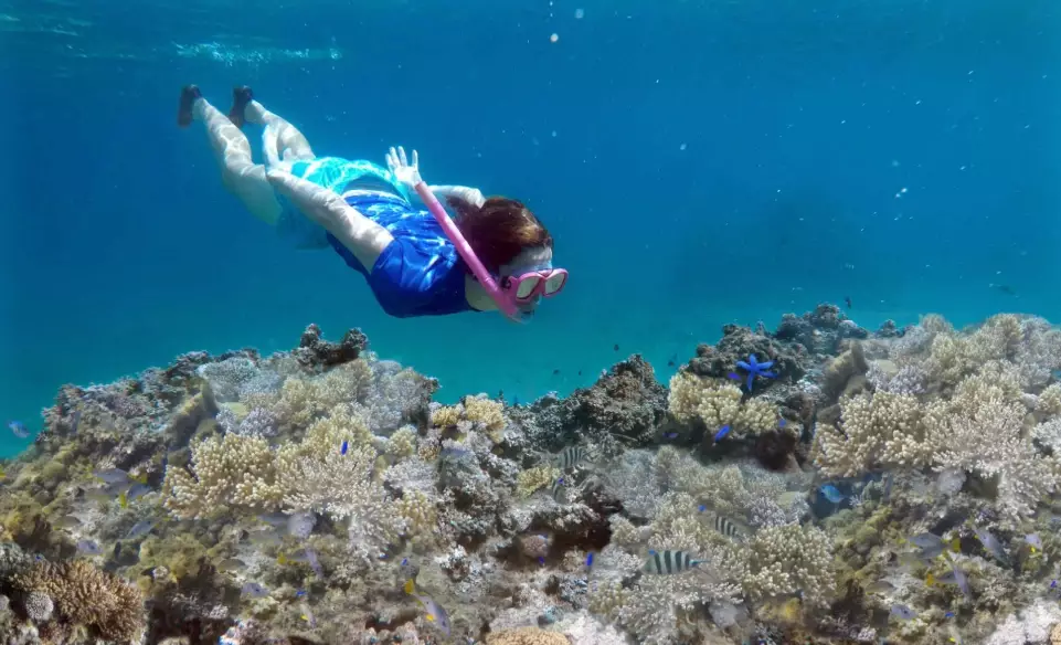 Best time to visit Fiji for snorkeling
