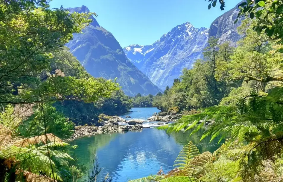 cost of living New Zealand cost of living New Zealand