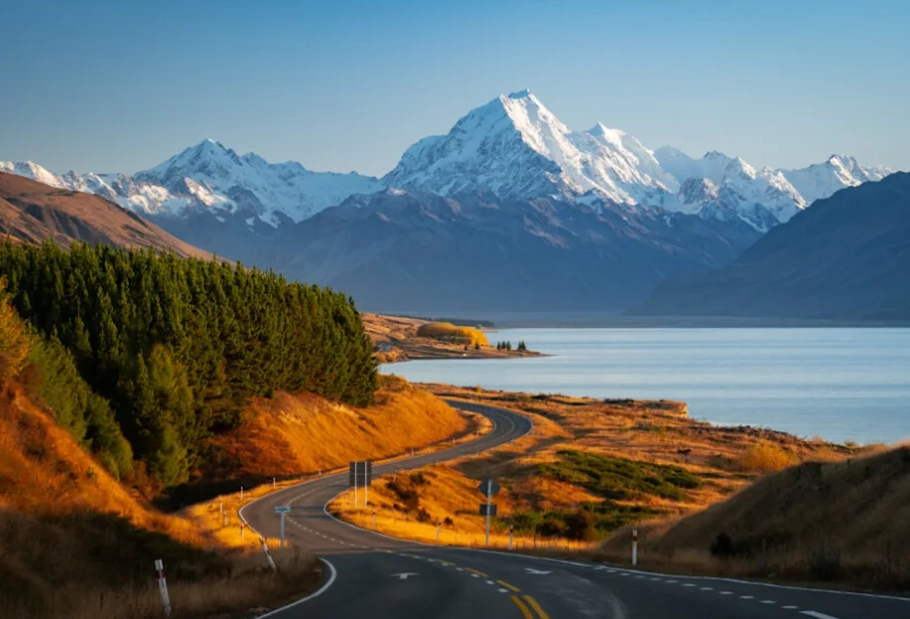 safety in New Zealand
