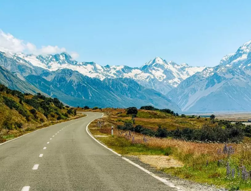 safety in New Zealand