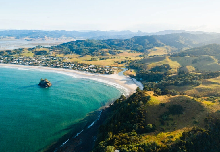 New Zealand crime rate