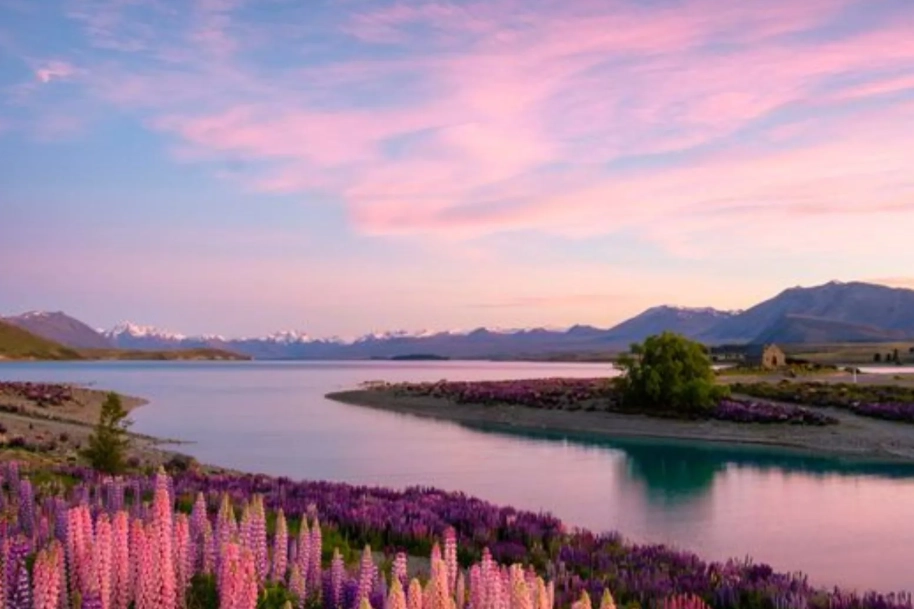 things to do in New Zealand