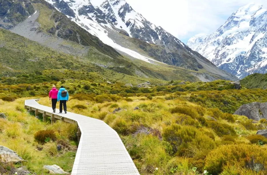 New Zealand travel cost